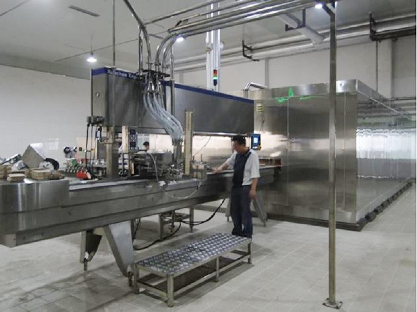 Линия для производства сухого мороженого Дропсы. Страна-производитель Китай.